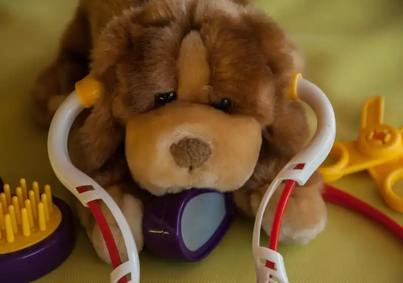 수술 전 준비사항과 과정