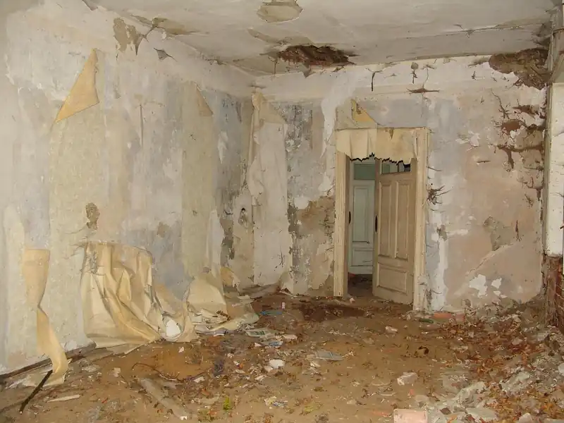 예매 취소 및 변경 규정