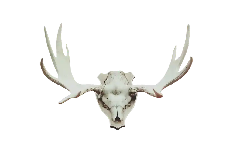 2024년 인기 실손보험 TOP5