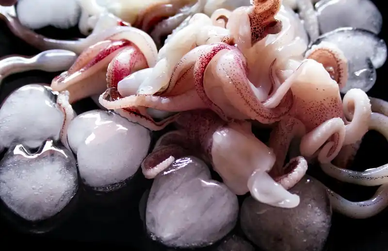 대박 조황 비결