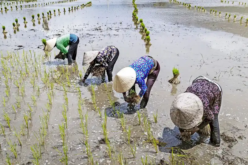 임플란트 선택 가이드