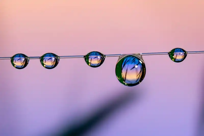 성공적인 대출 후기