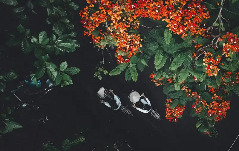 항공뷰로 손 안의 임장하기