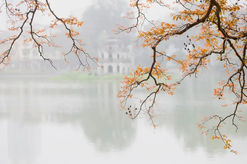대통령과 대화하는 꿈