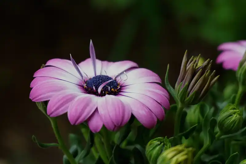 외도 보타니아 둘러보기