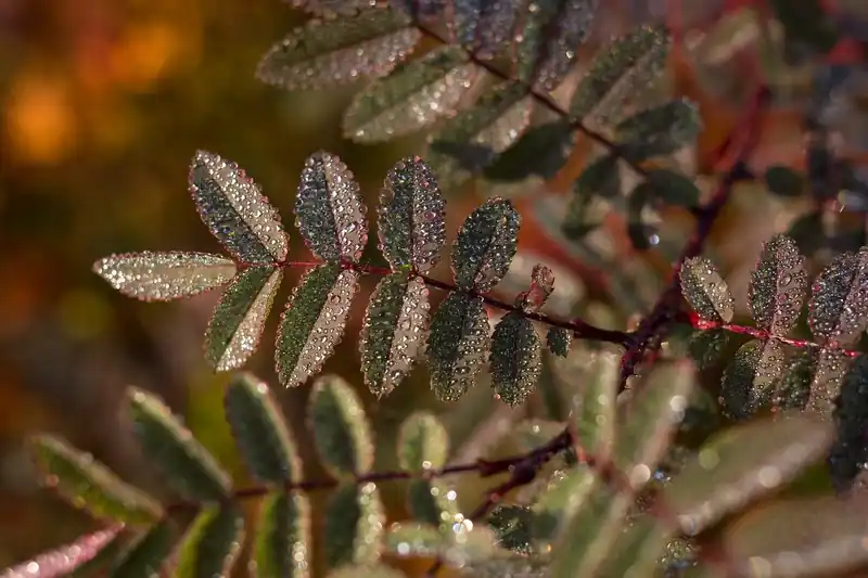 꾸준함의 중요성