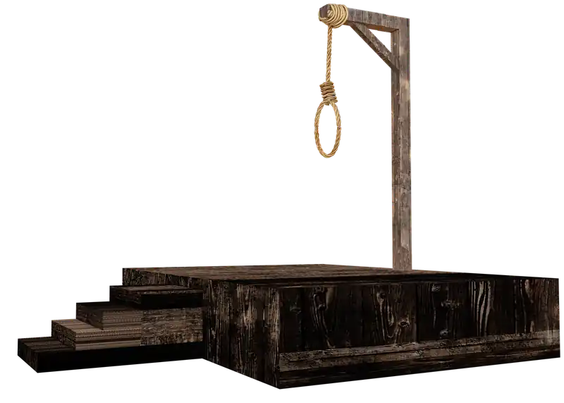 과태료 부과 유예