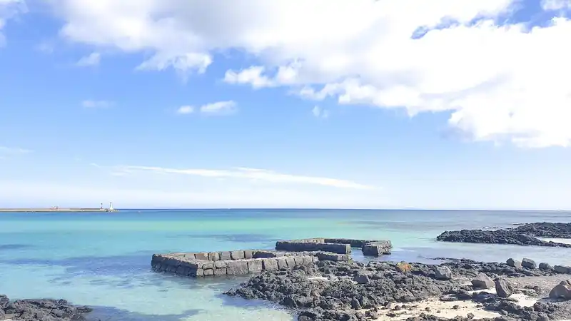 가성비 맛집 & 무료 관광지