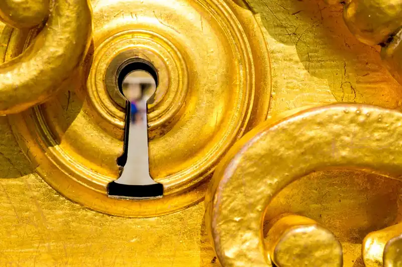 주요 사업 및 활동 내용