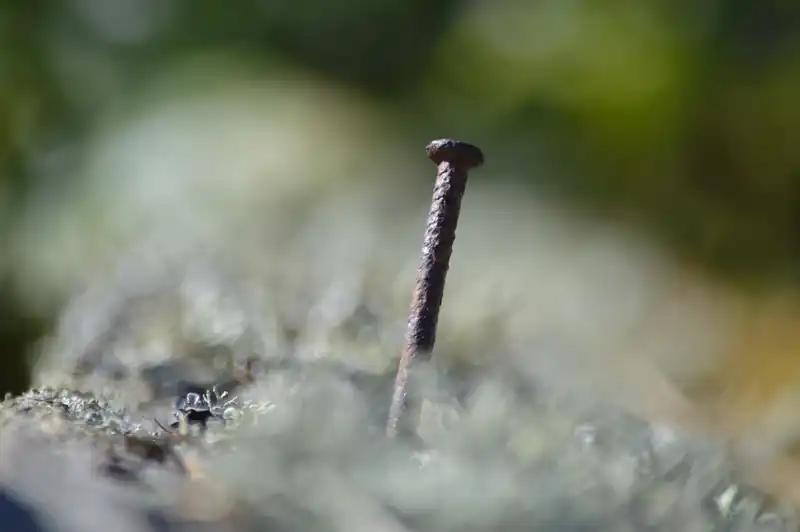 주휴수당 포함, 내 월급 계산법