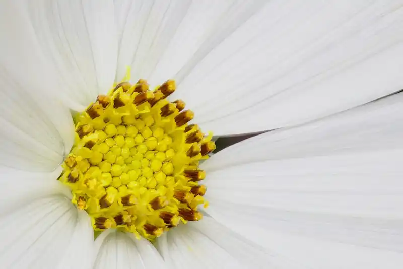 하이브리드 성능