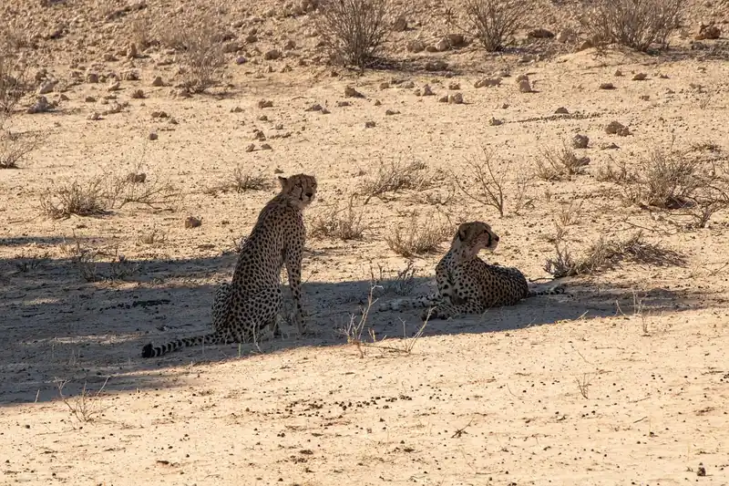 가장 빠른 발급 방법