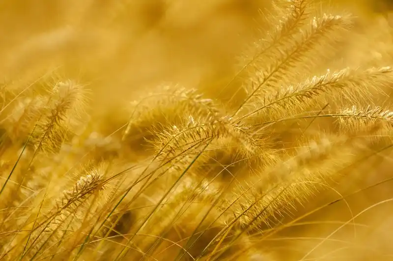 현명한 금 투자 방법