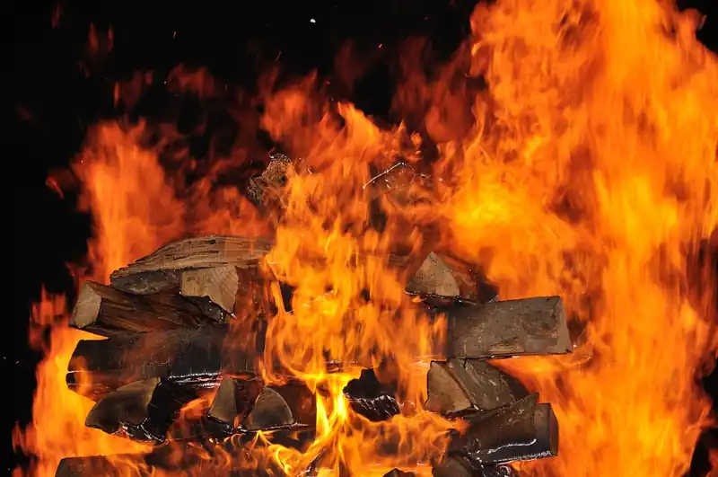 방문 후기 요약