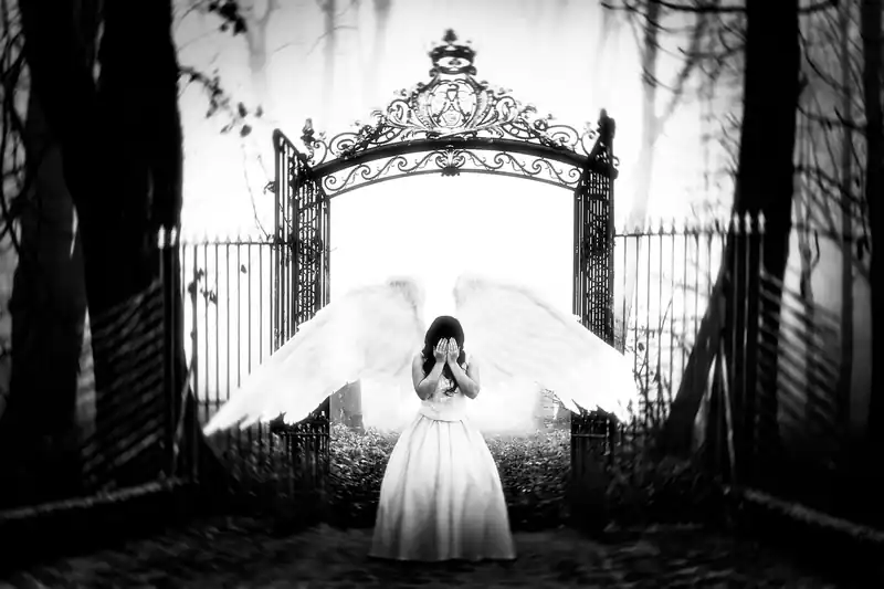 우리집 분배기, 교체 신호는?