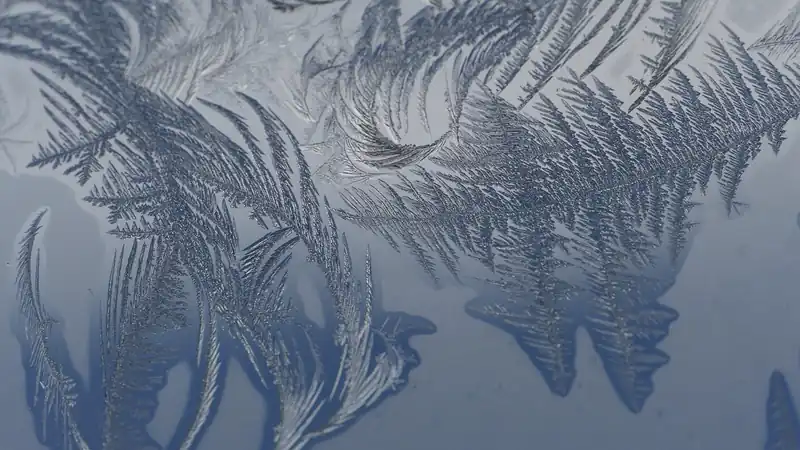 미래 투자 전망 및 인사이트