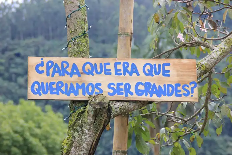 세관번호, 왜 필요할까?