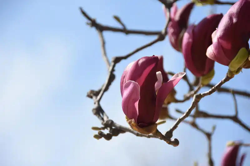 궁금증 해결 Q&A