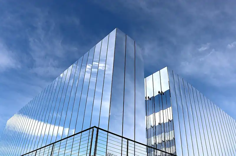 주목할 만한 참가자