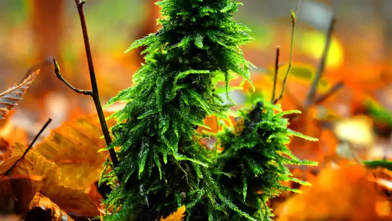 수전증, 왜 생길까?