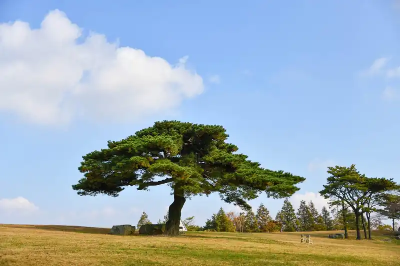 지역별 가성비 숙소