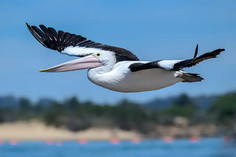 호주달러, 어디서 환전할까?