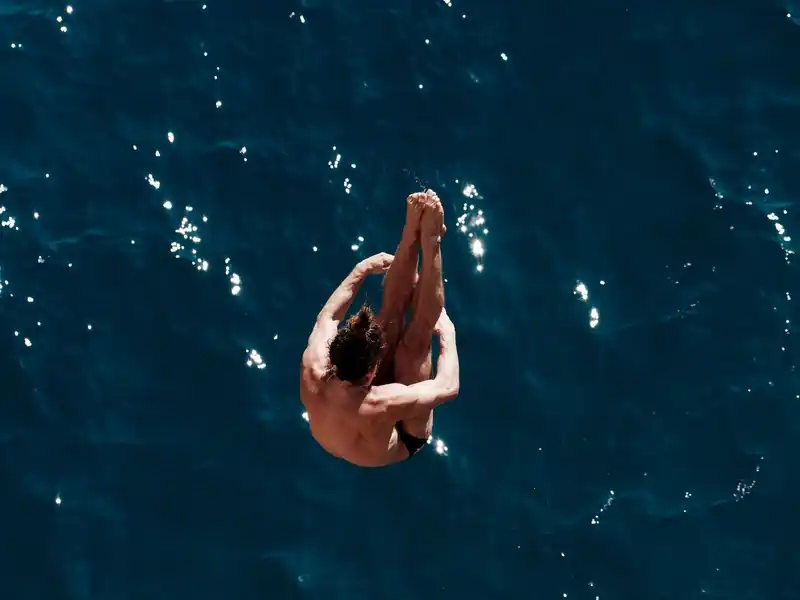 투자 위험 및 기회