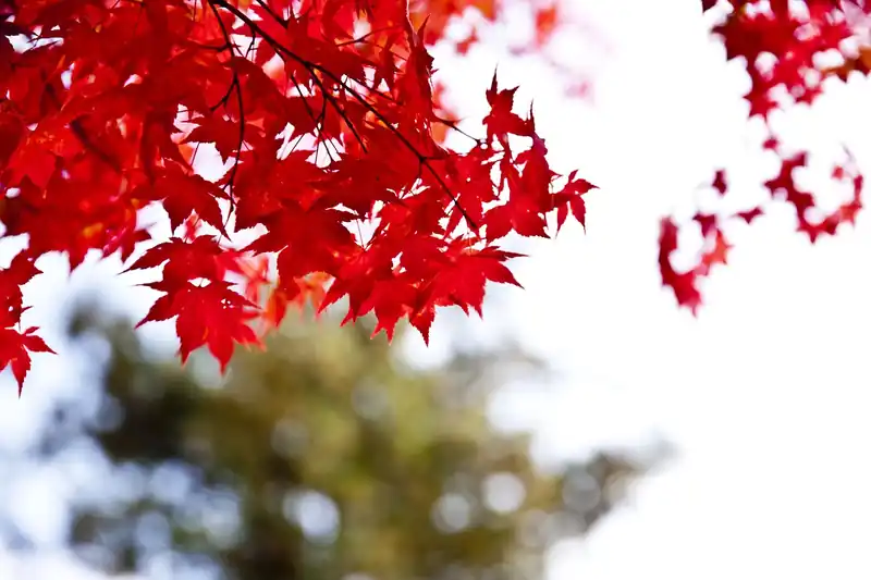 춘천교육지원청 소개