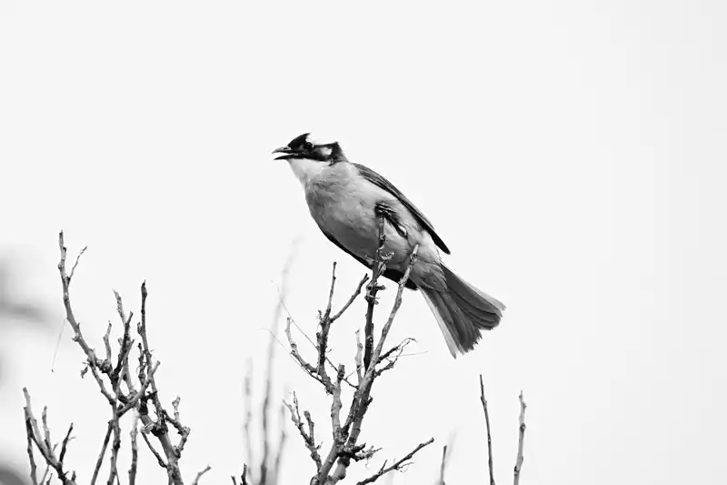 꿈을 향한 도전