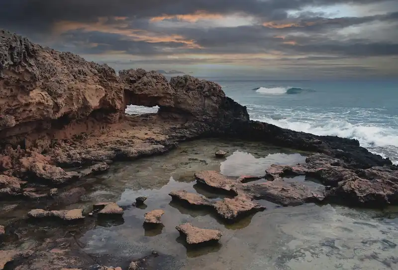 하나로마트 배추 가격