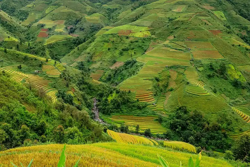 맛있는 찹쌀 요리
