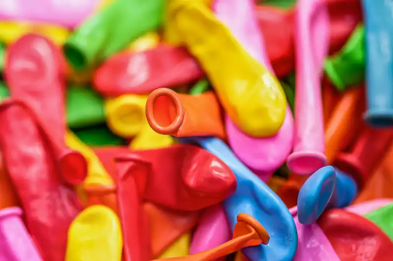 축하와 응원의 함성