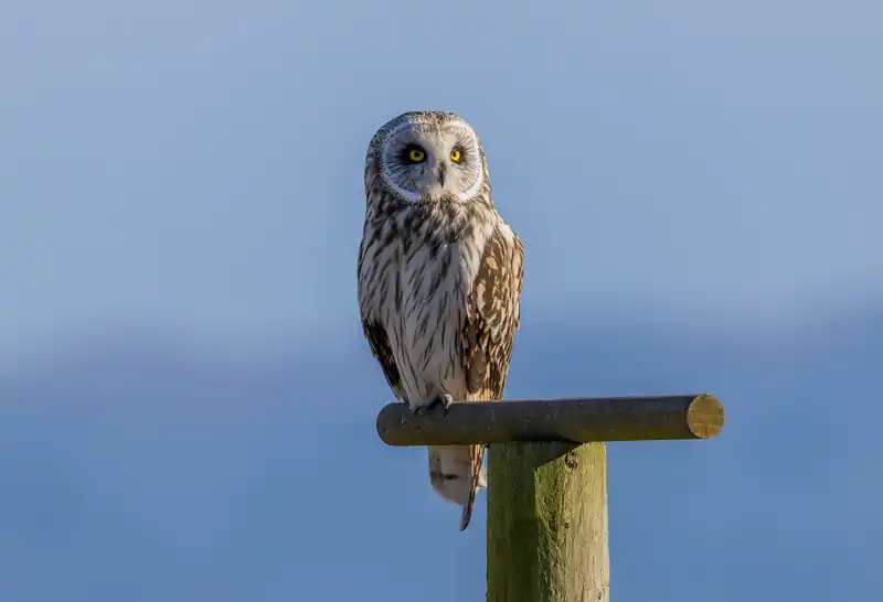 숨이 갑자기 차오르는 이유