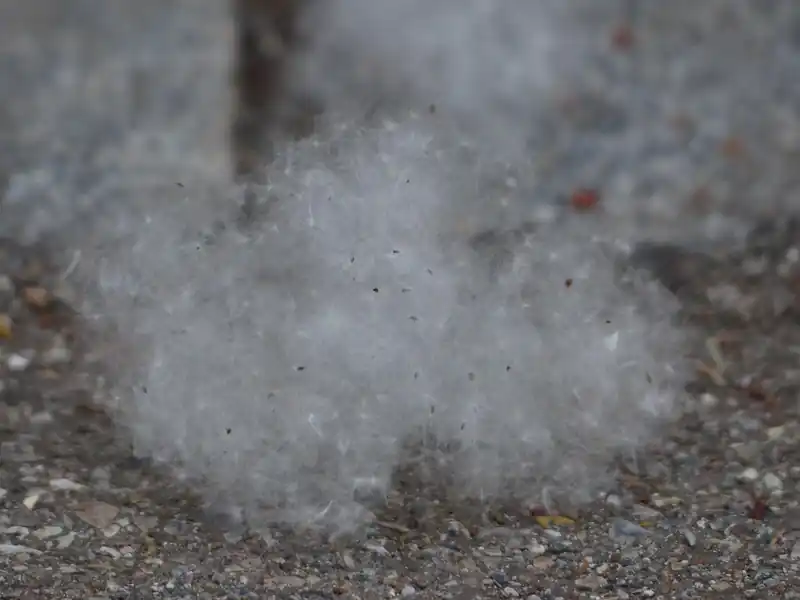 비염 종류별 증상