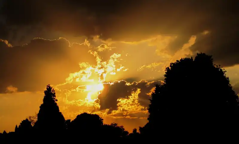 영광의 신비 묵상