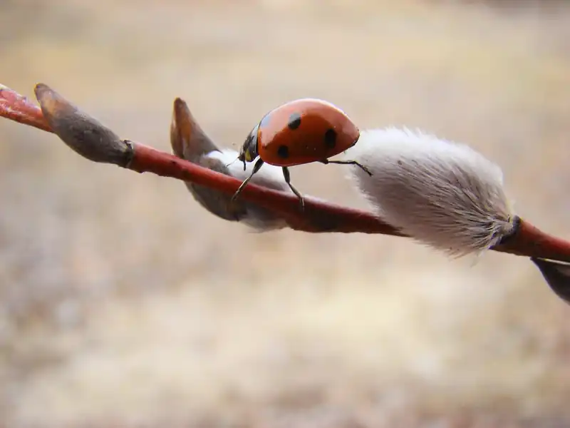 주의해야 할 합병증