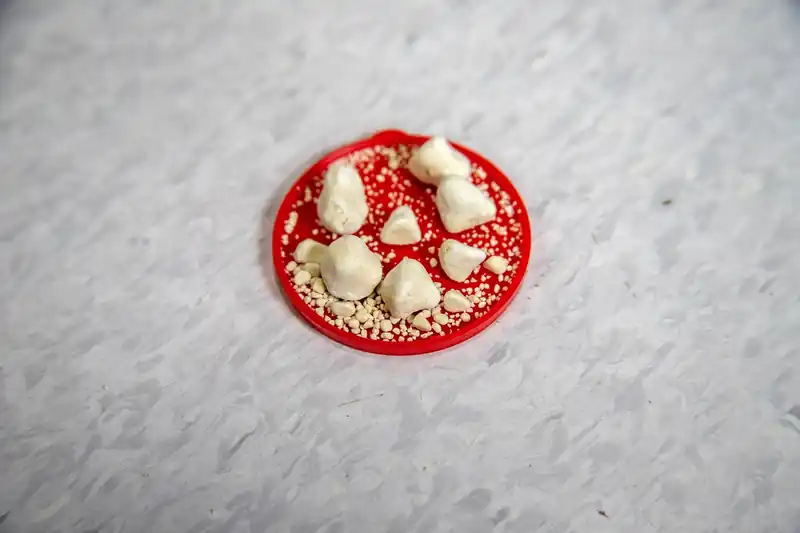 주요 증상 4가지