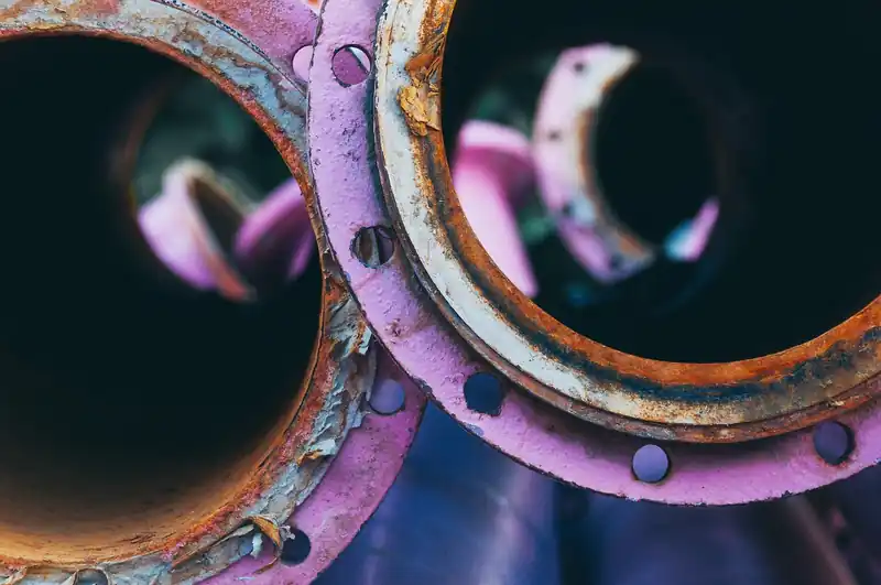 섭취 방법과 주의점