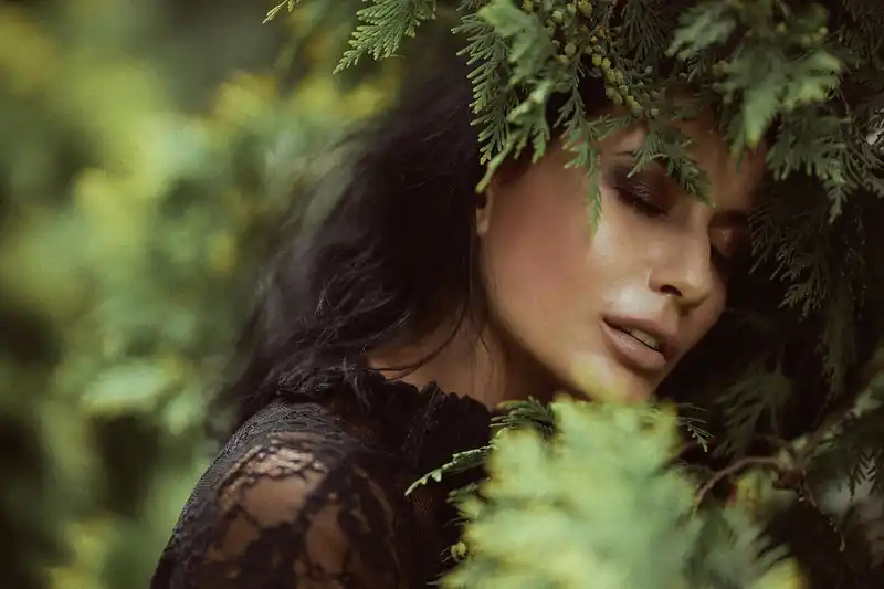 효과 및 성분 분석