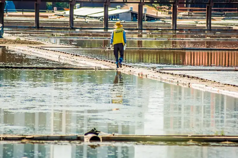 목 통증과 이물감