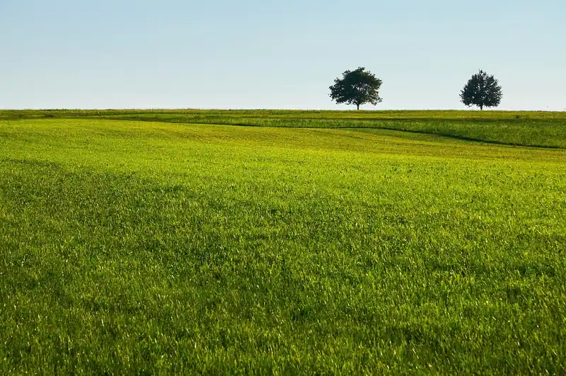 조용한 힐링 카페