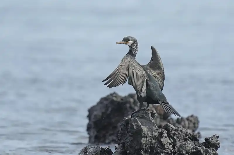 나만의 힐링 카페
