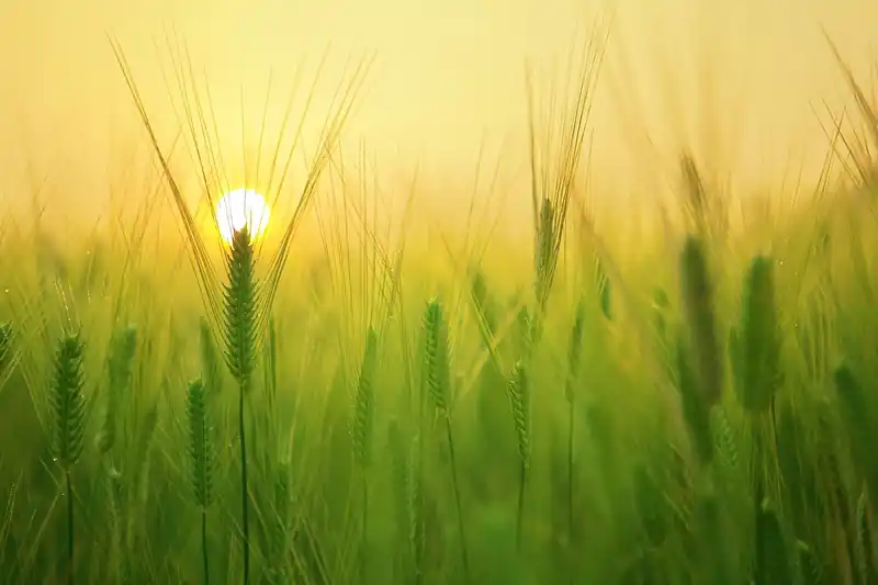 숙소 종류별 예상 비용