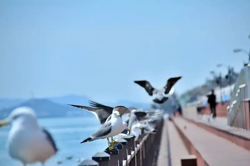 여행 팁