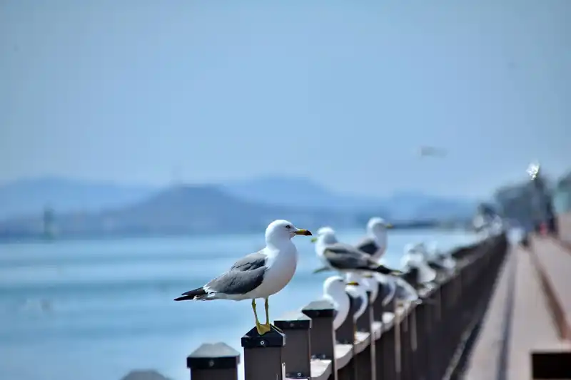 주변 맛집
